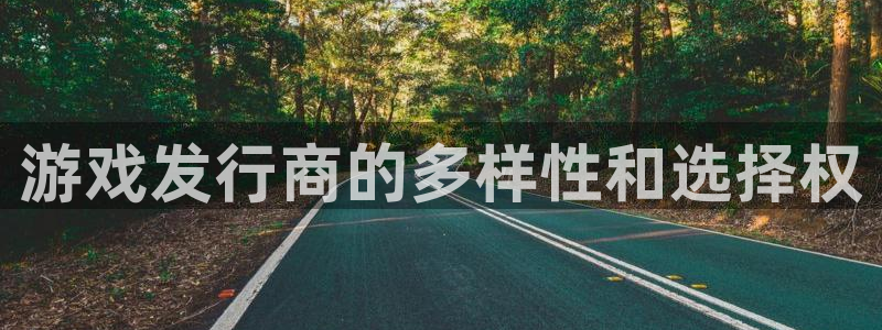 bbin视讯子出版社董事长：游戏发行商的多样性和选择权