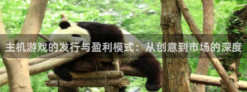 bbin视讯官网注册登录不了：主机游戏的发行与盈利模式：从创意到市场的深度