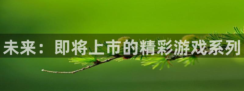 bbin视讯官网挂机项目怎么样可靠吗：未来：即将上市的精彩游戏系列
