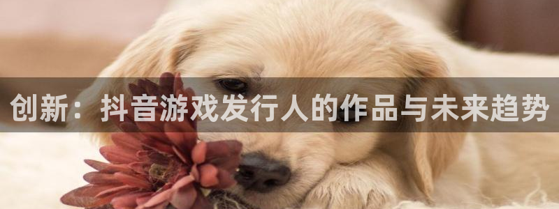 bbin视讯电商怎么样知乎