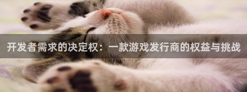 bbin视讯官网怎么注册账号：开发者需求的决定权：一款游戏发行商的权益与挑战