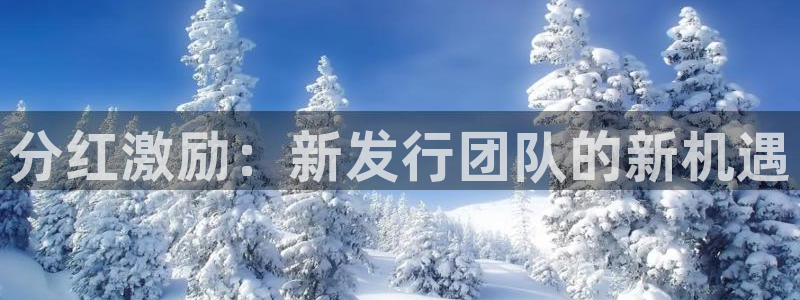 bbin视讯多少钱：分红激励：新发行团队的新机遇