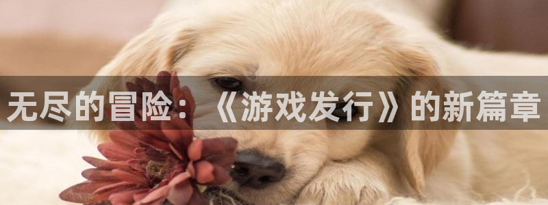 bbin视讯官网注册平台官网登录：无尽的冒险：《游戏发行》的新篇章