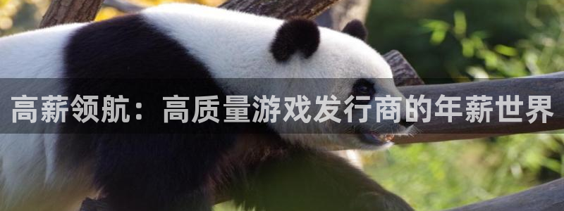 bbin视讯服装品牌怎么样：高薪领航：高质量游戏发行商的年薪世界
