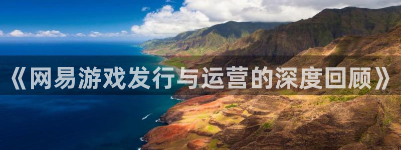 广州bbin视讯投资管理顾问有限公司：《网易游戏发行与运营的深度回顾》