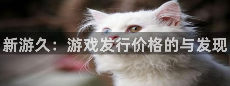 bbin视讯电子商务有限公司怎么样知乎