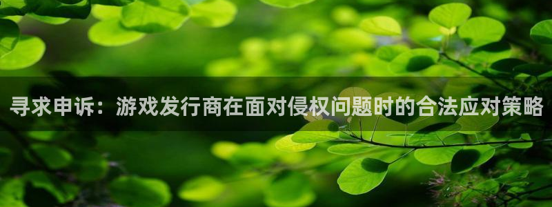 bbin视讯官网登录注册账号失败：寻求申诉：游戏发行商在面对侵权问题时的合法应对策略