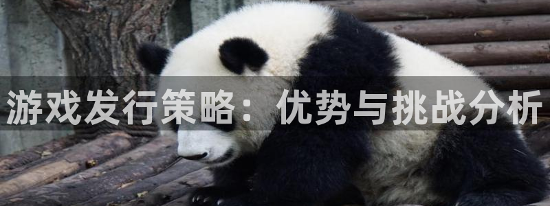 bbin视讯子年度最佳图书：游戏发行策略：优势与挑战分析