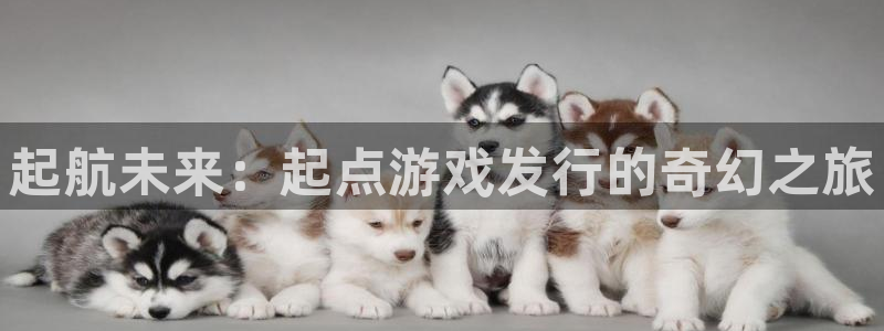 深圳bbin视讯电商