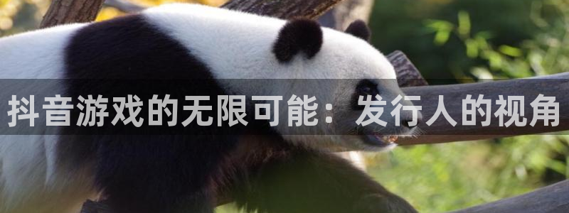 bbin视讯实业投资(东莞)有限公司