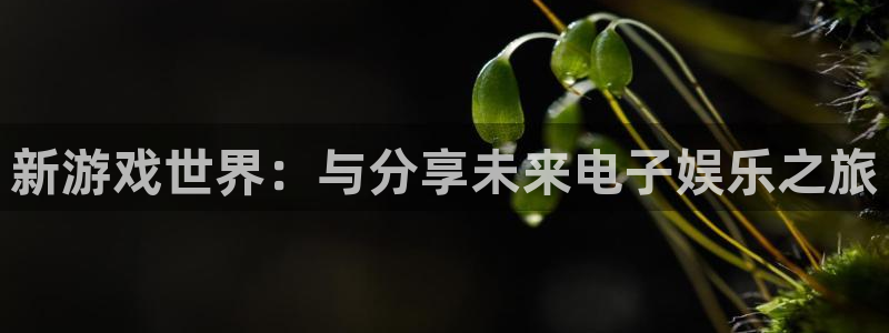 bbin视讯官网登录注册账号安全吗可靠吗：新游戏世界：与分享未来电子娱乐之旅