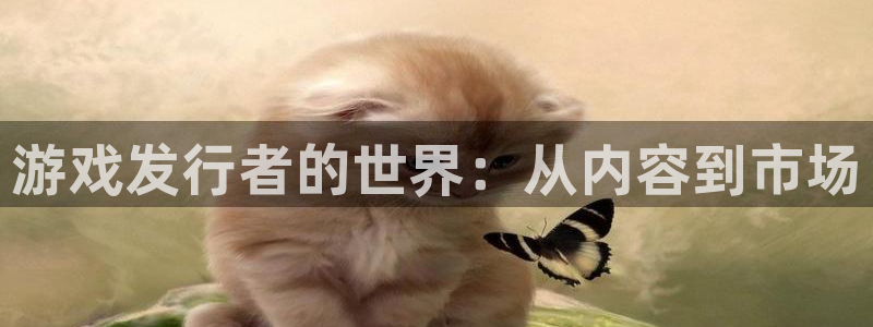 广东bbin视讯电子科技有限公司 联系电话：游戏发行者的世界：从内容到市场