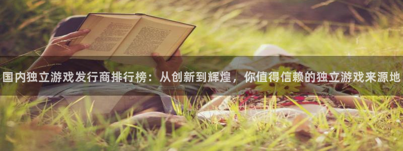 bbin视讯干红葡萄酒750毫升多少钱：国内独立游戏发行商排行榜：从创新到辉煌，你值得信赖的独立游戏来源地