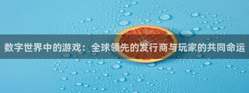 bbin视讯服装：数字世界中的游戏：全球领先的发行商与玩家的共同命运