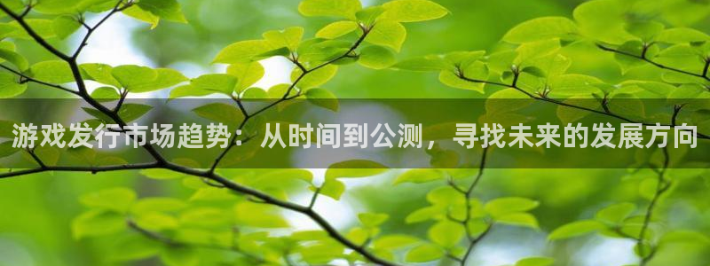bbin视讯子书店：游戏发行市场趋势：从时间到公测，寻找未来的发展方向