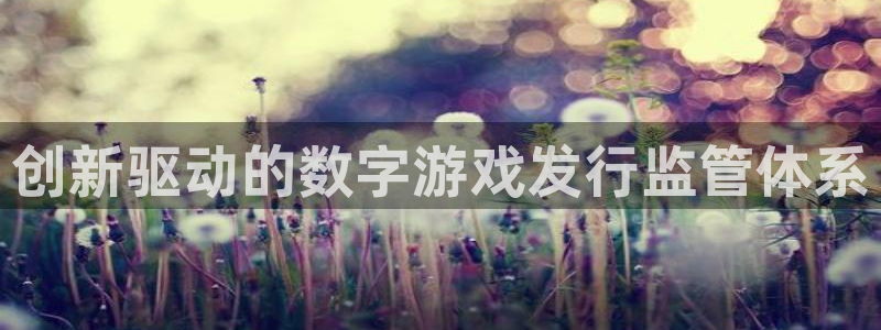 江苏bbin视讯人力资源有限公司怎么样：创新驱动的数字游戏发行监管体系