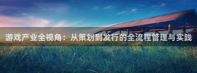bbin视讯运动装有哪些品牌：游戏产业全视角：从策划到发行的全流程管理与实践