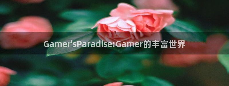 bbin视讯官网登录注册账号安全吗是真的吗：Gamer\'sParadise:Gamer的丰富世界