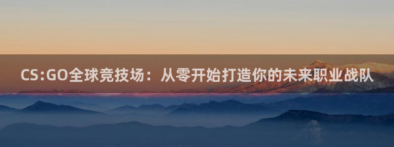 bbin视讯子文化创意有限公司特邀玩家：CS:GO全球竞技场：从零开始打造你的未来职业战队