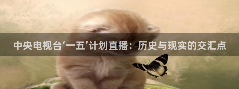 jr看球直播网：中央电视台‘一五’计划直播：历史与现实的交汇点
