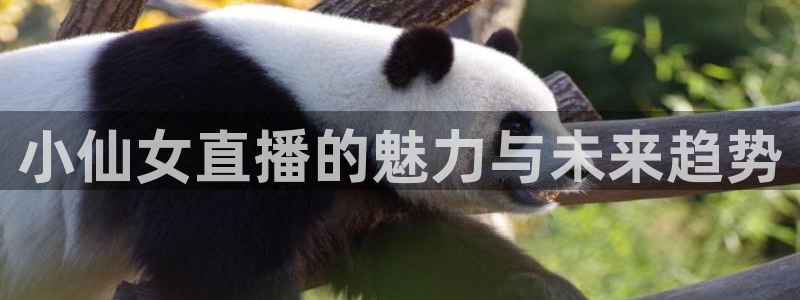 jrkan直播免费高清体育直播nba：小仙女直播的魅力与未来趋势