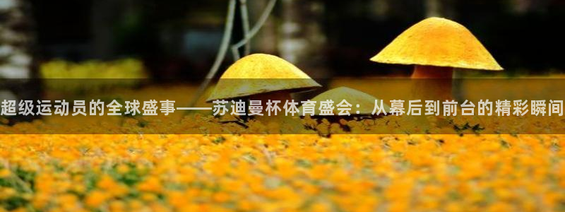 篮球直播jrkan：超级运动员的全球盛事——苏迪曼杯体育盛会：从幕后到前台的精彩瞬间